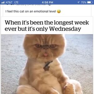 Meet your Posher, Lori